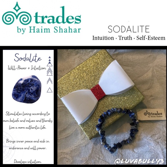 NWT Trades Sodalite Stretch Bracelet - Picture 1 of 6